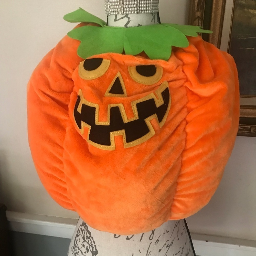 Dog Halloween Jack O Lantern Pumpkin Costume L